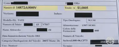 Traduzione Certificata Libretto di Circolazione Italia