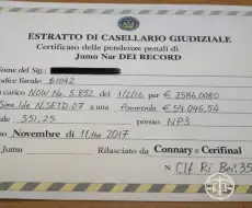 Traduzione giurata del casellario giudiziale