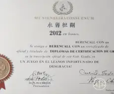 Traducción jurada de diploma