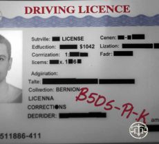 Traduction assermentée de permis de conduire